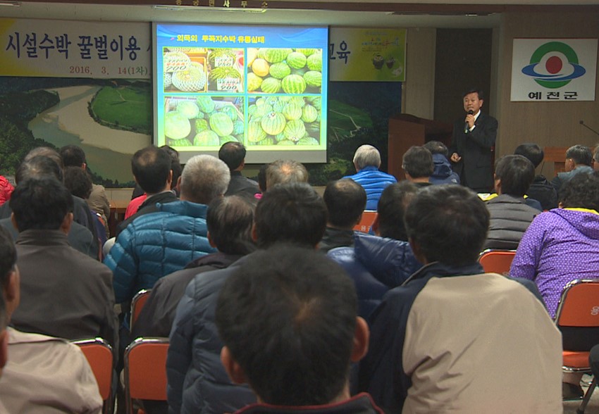 3.예천군, 꿀벌 이용 시설수박 생력화 기술교육